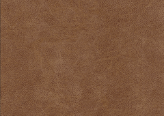 Class 2: Skins/Bull