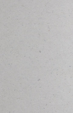 Rezign White Denim